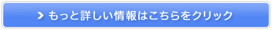 ۂcX 500~j^[̔TCg